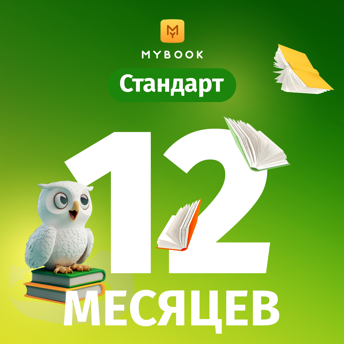 MyBook стандартная подписка на 12 месяцев
